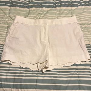 Loft riviera shorts